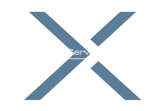 MAX SERVICE KG Logo